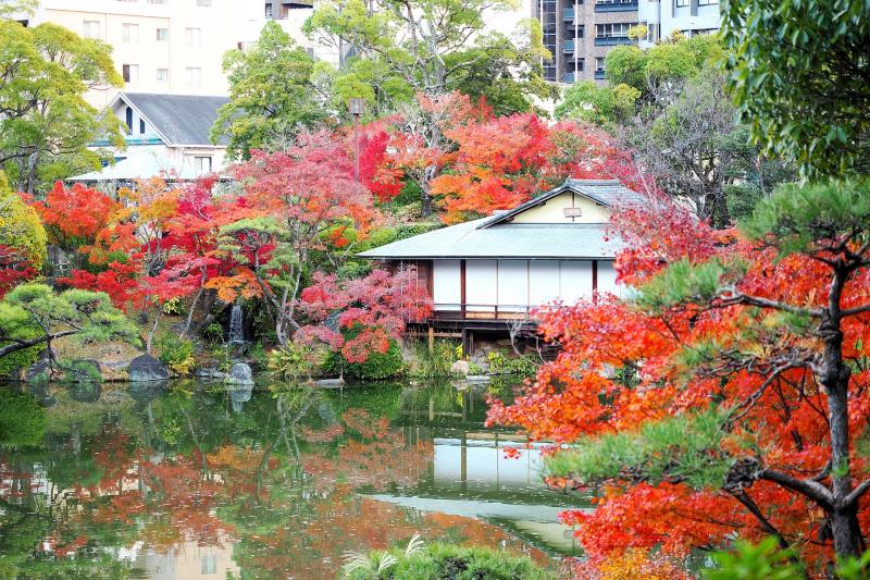 相楽園 観光・アクセス・営業時間・基本情報ガイド - 兵庫県 / 三宮・元町【トラベルコ】