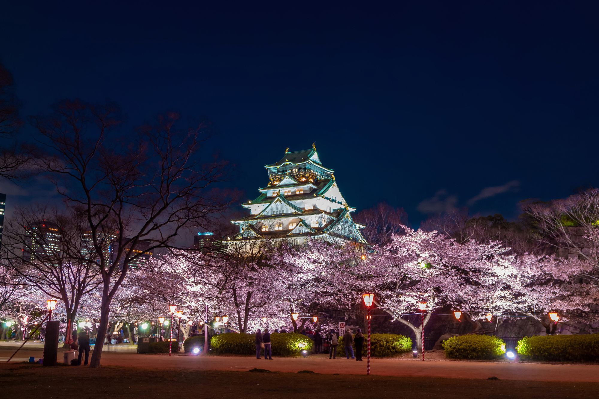 大阪_大阪城公園_遊び・体験_1