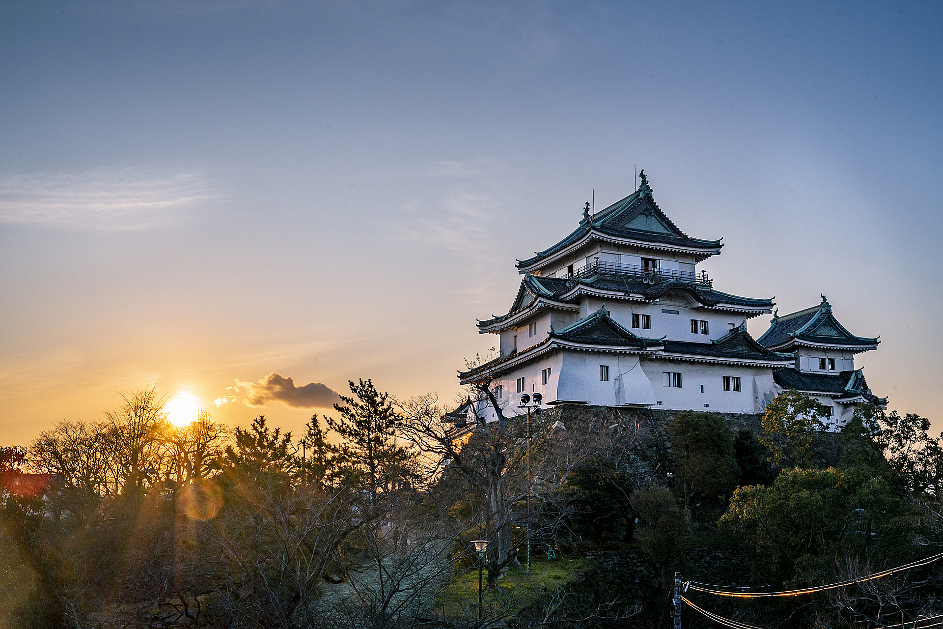 和歌山_和歌山城_遊び・体験_1