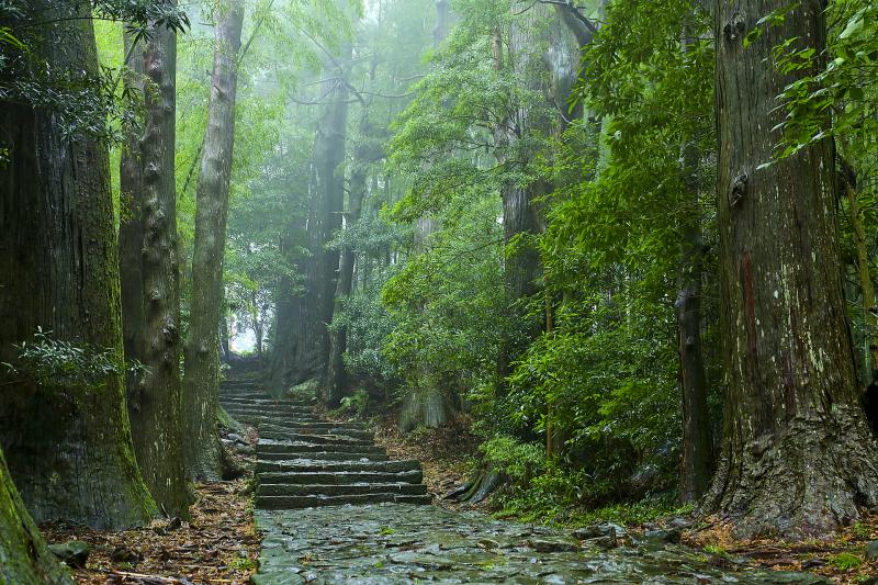 和歌山_熊野古道_遊び・体験_1