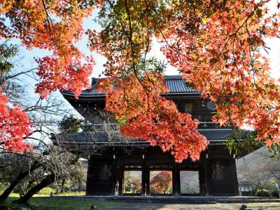 和歌山_根來寺（根来寺）_遊び・体験_1