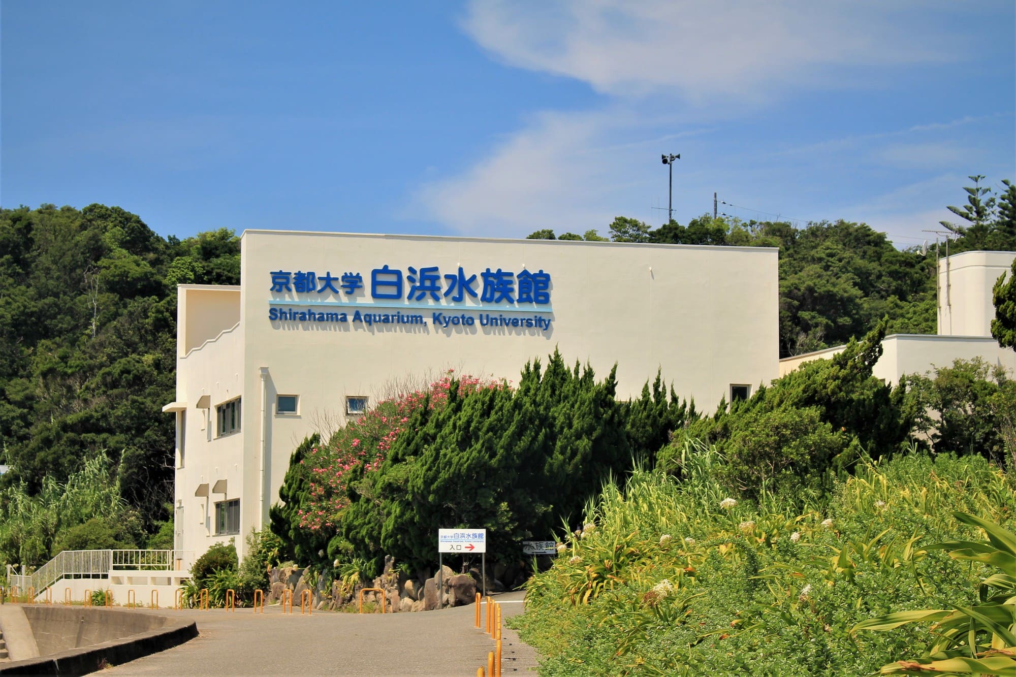 和歌山_京都大学白浜水族館_遊び・体験_1