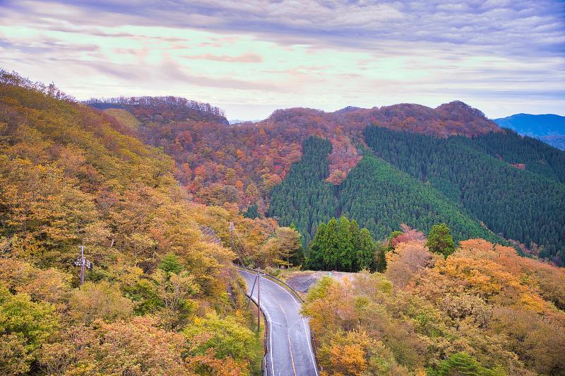 和歌山_高野龍神スカイライン_遊び・体験_1