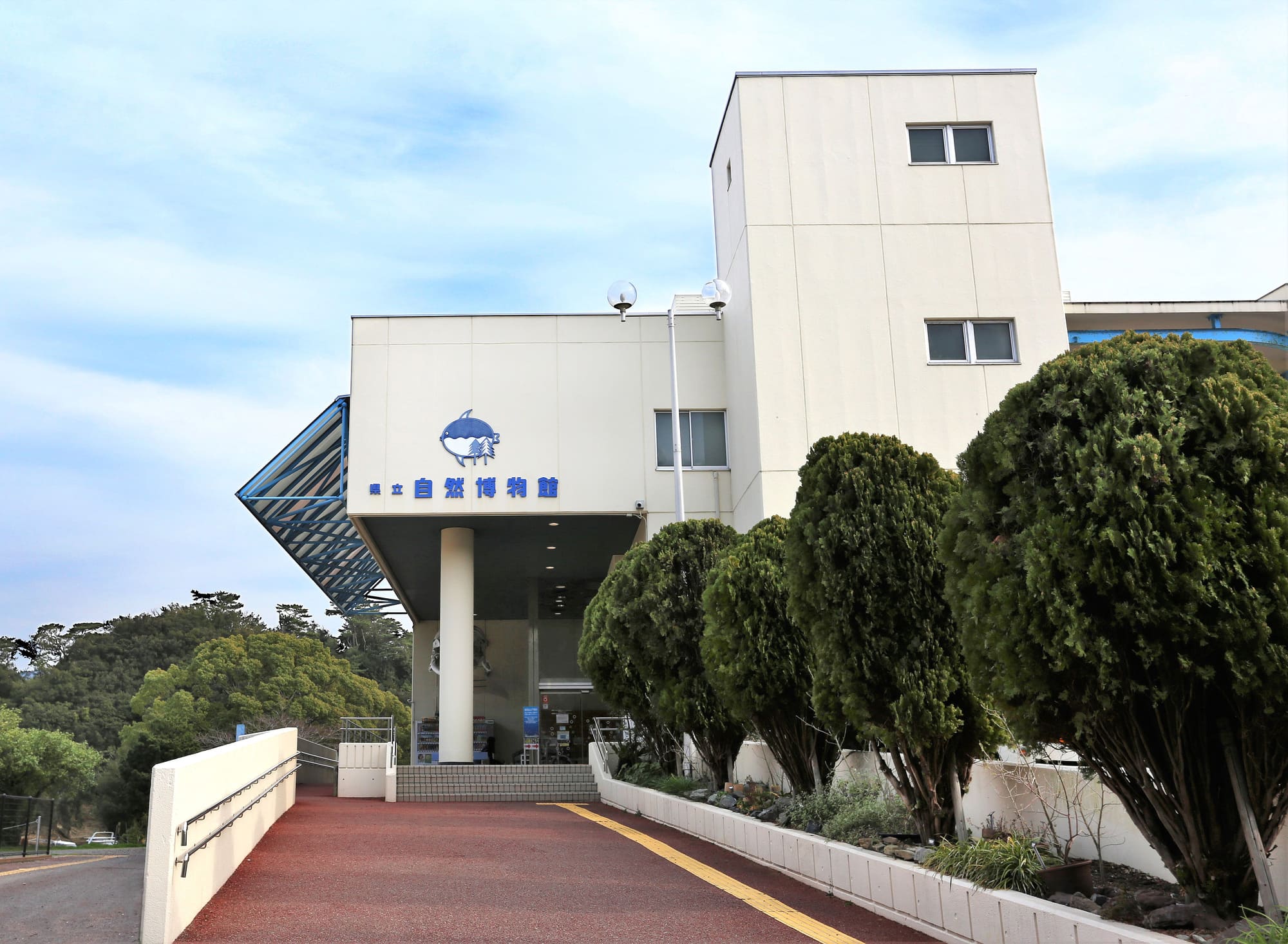 和歌山_和歌山県立自然博物館_遊び・体験_1