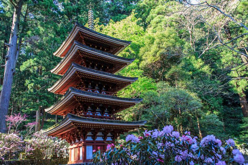 奈良_室生寺_遊び・体験_1
