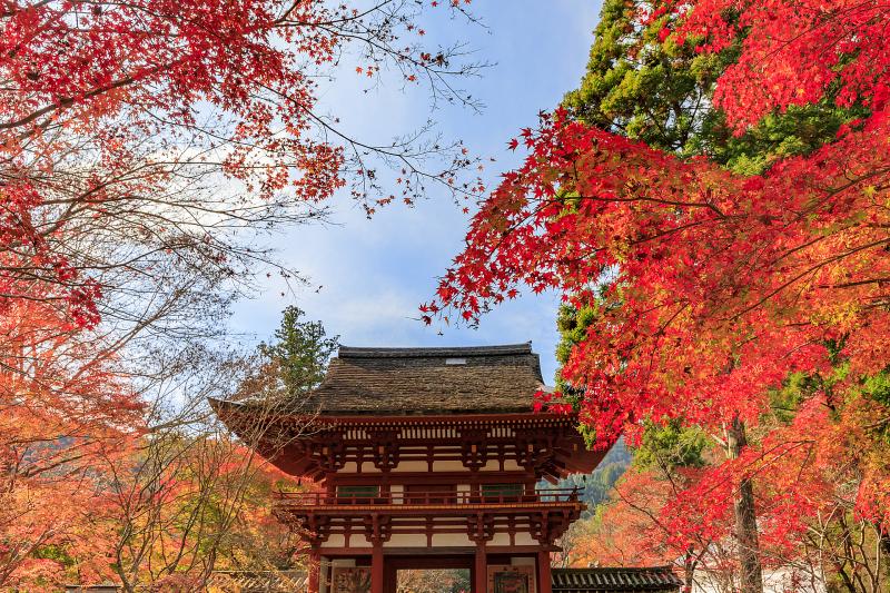 奈良_室生寺_遊び・体験_2