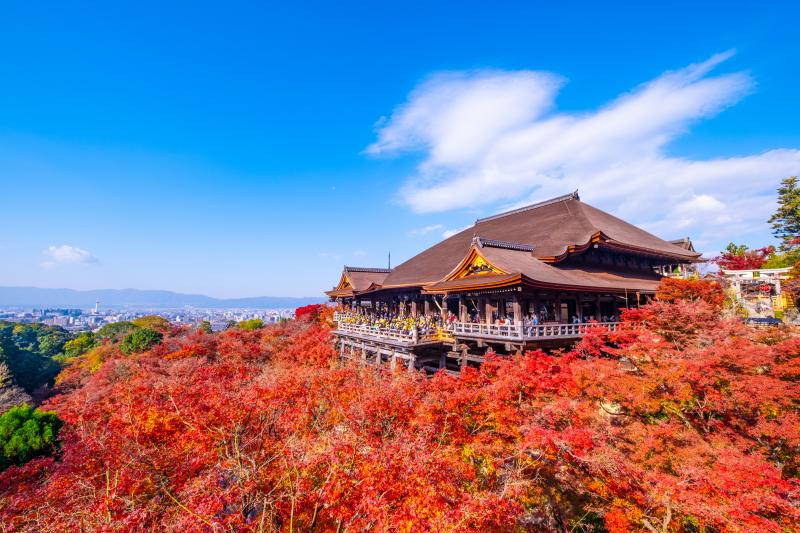京都_清水寺_遊び・体験_5