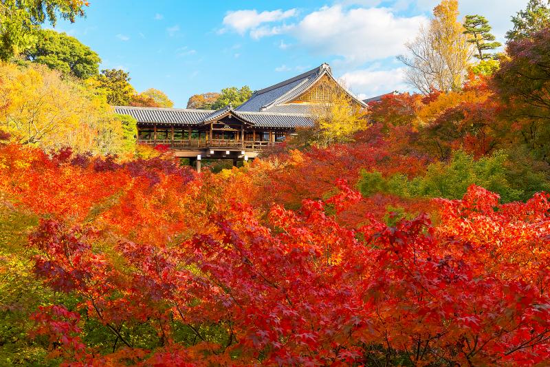 京都_東福寺_遊び・体験_4