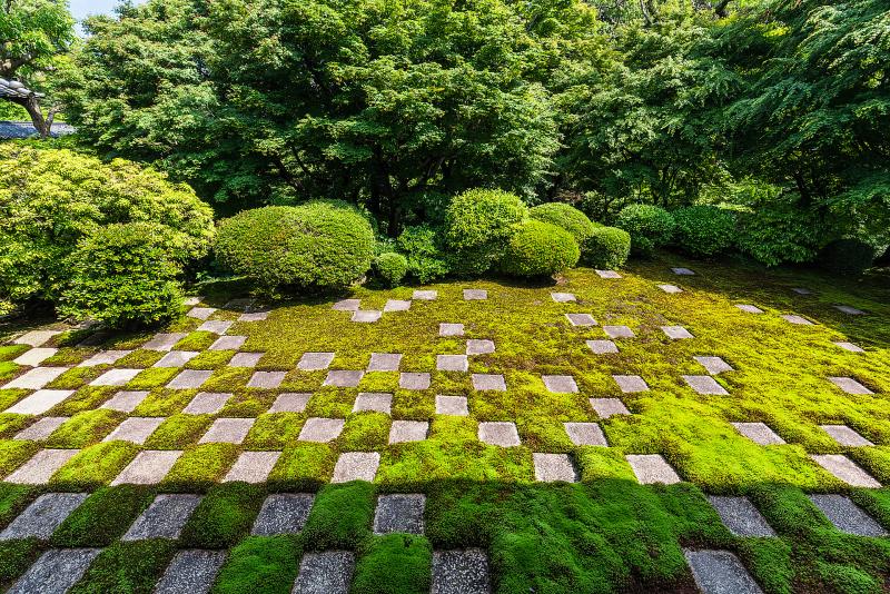 京都_東福寺_遊び・体験_5