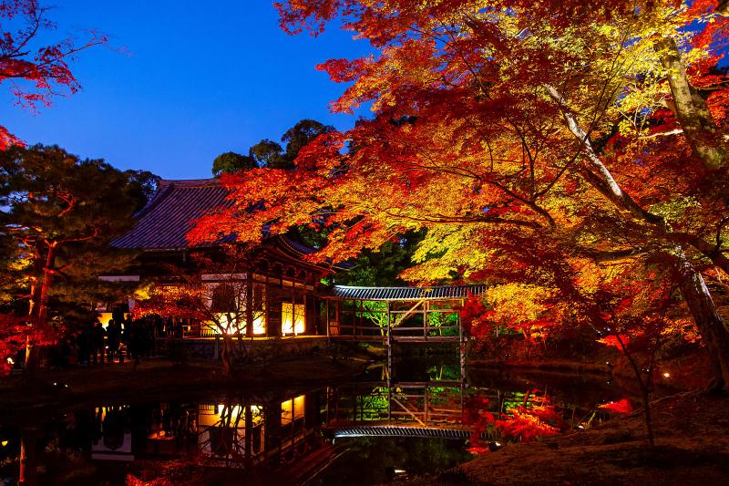 京都_高台寺_遊び・体験_2