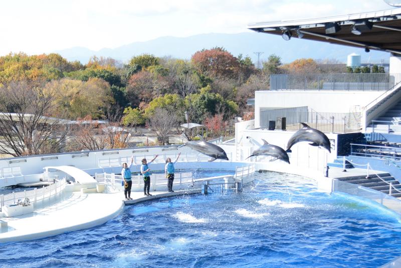 京都_京都水族館_遊び・体験_2