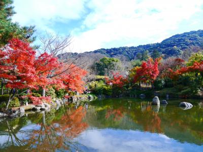 京都_円山公園_遊び・体験_1