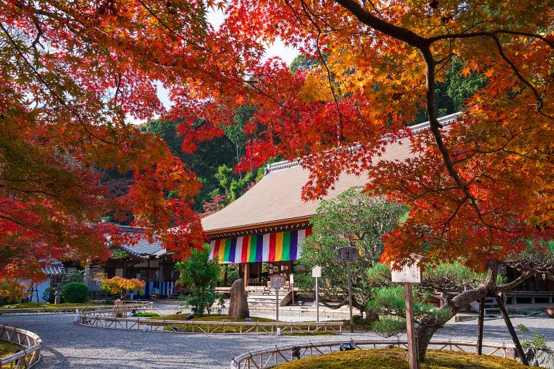京都_二尊院_遊び・体験_1