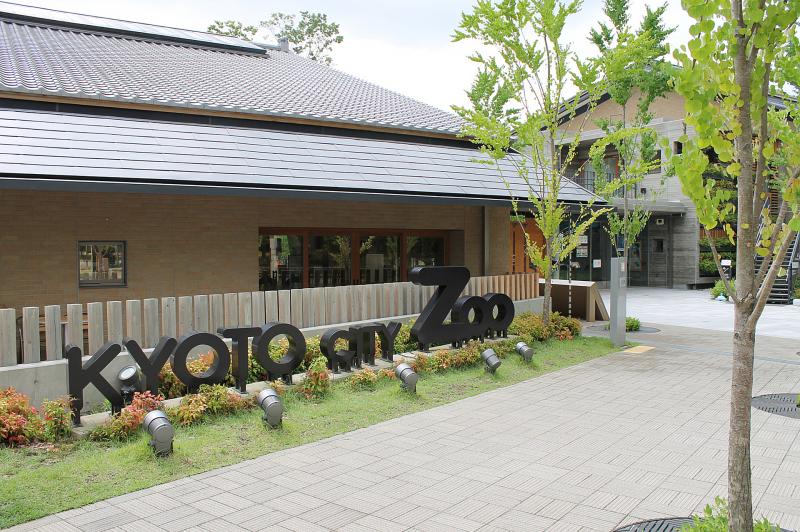 京都_京都市動物園_遊び・体験_1