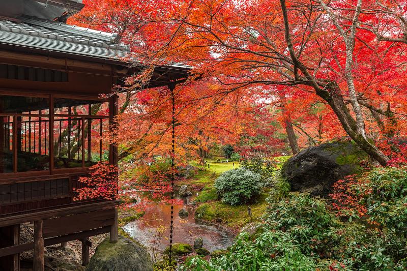 京都_宝厳院_遊び・体験_1