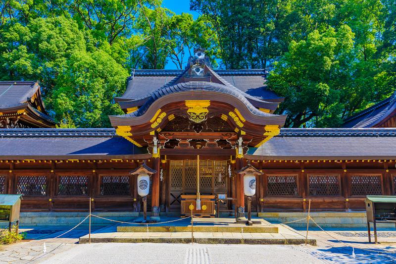 京都_今宮神社_遊び・体験_1