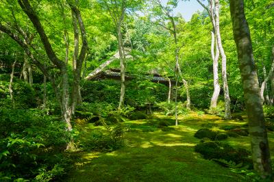京都_祇王寺_遊び・体験_1