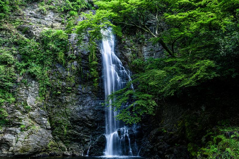 大阪_箕面大滝_遊び・体験_1