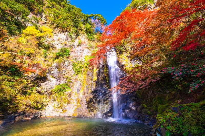 大阪_箕面大滝_遊び・体験_2