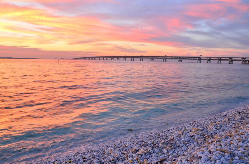 大阪_りんくう公園_遊び・体験_1