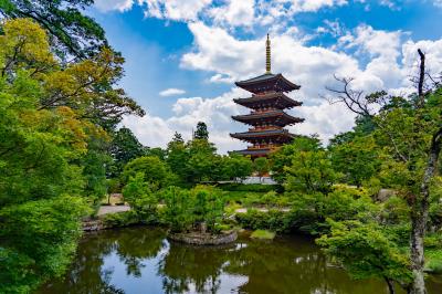 京都_成相寺_遊び・体験_1
