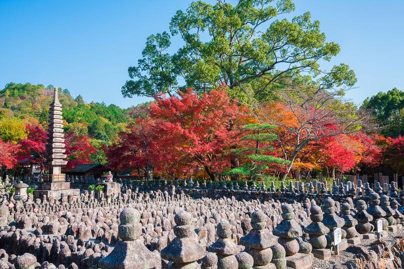京都_化野念仏寺_遊び・体験_1
