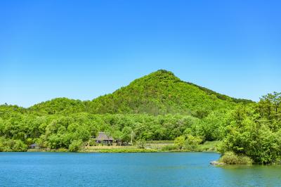 兵庫_兵庫県立有馬富士公園_遊び・体験_1