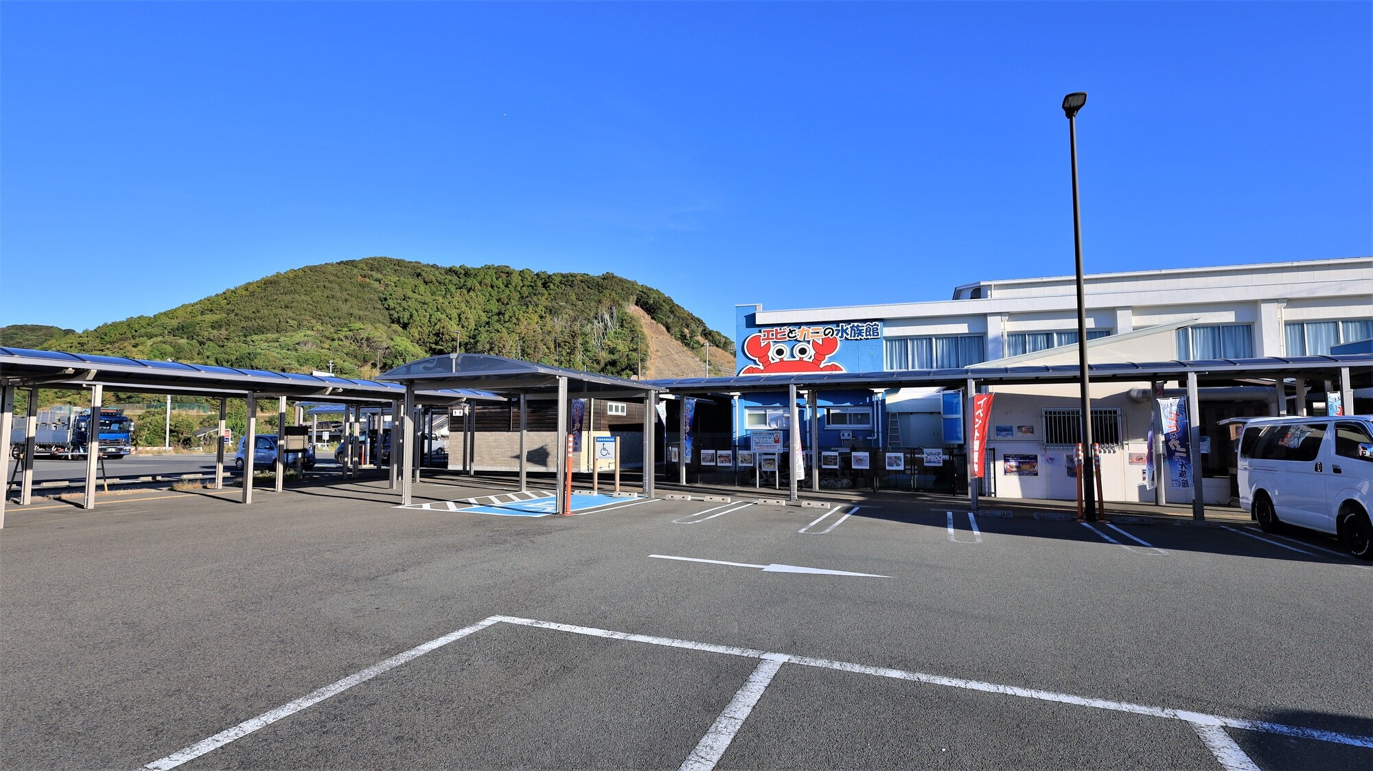 和歌山_すさみ町立エビとカニの水族館_遊び・体験_1