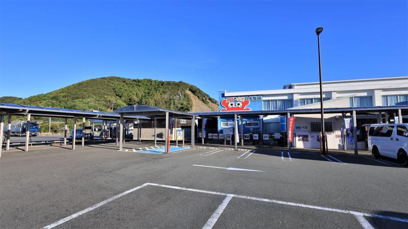 和歌山_すさみ町立エビとカニの水族館_遊び・体験_1