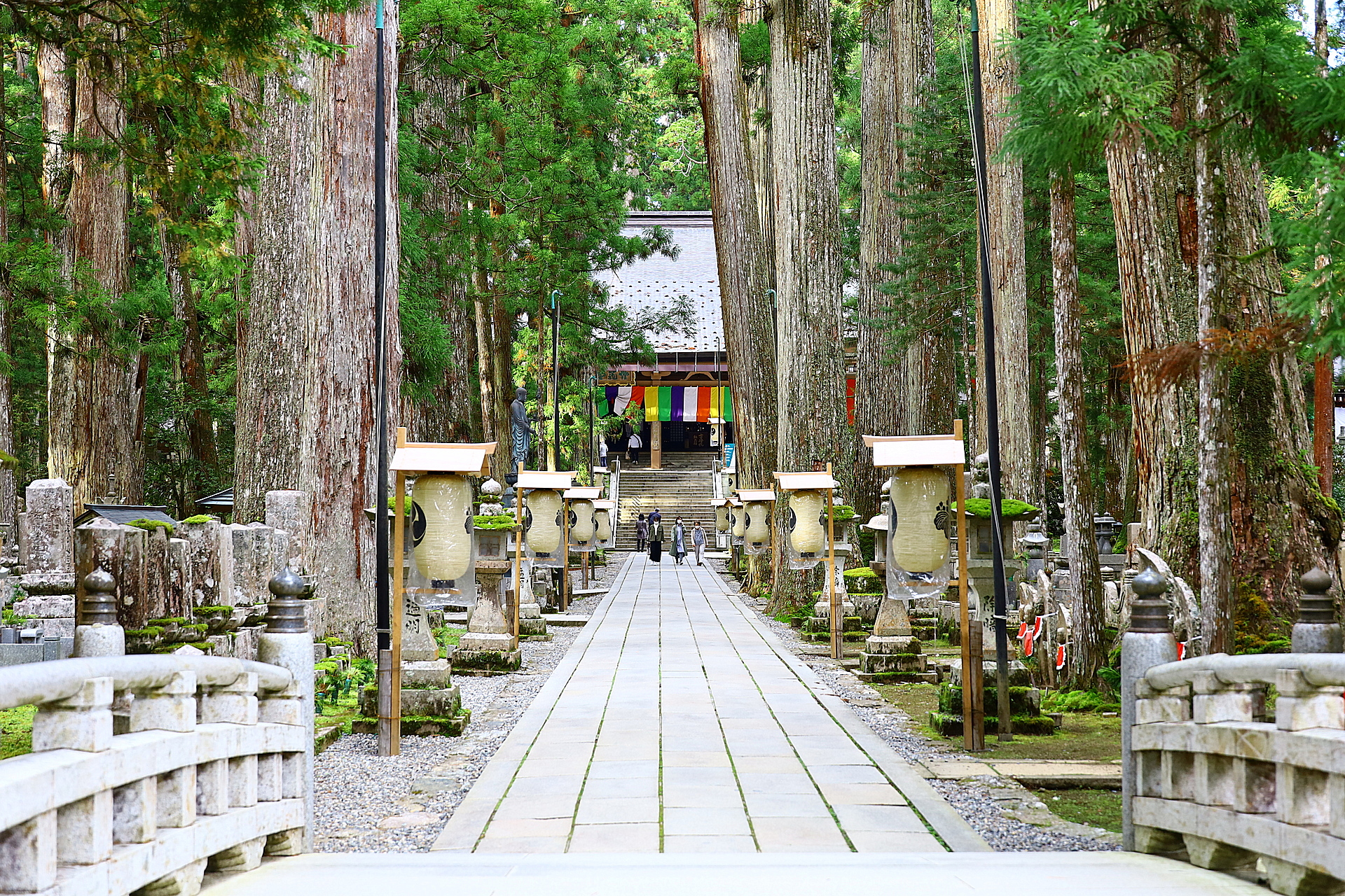 和歌山_奥之院_遊び・体験_1