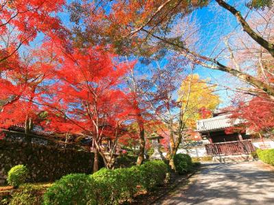 滋賀_西教寺_遊び・体験_1