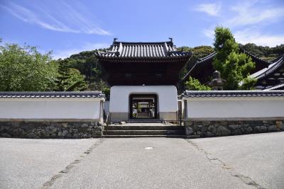 京都_興聖寺_遊び・体験_1