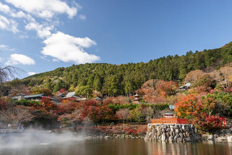 大阪_勝尾寺_遊び・体験_1