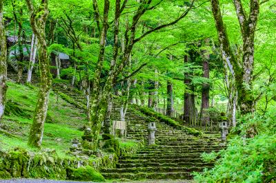 兵庫_高源寺_遊び・体験_1