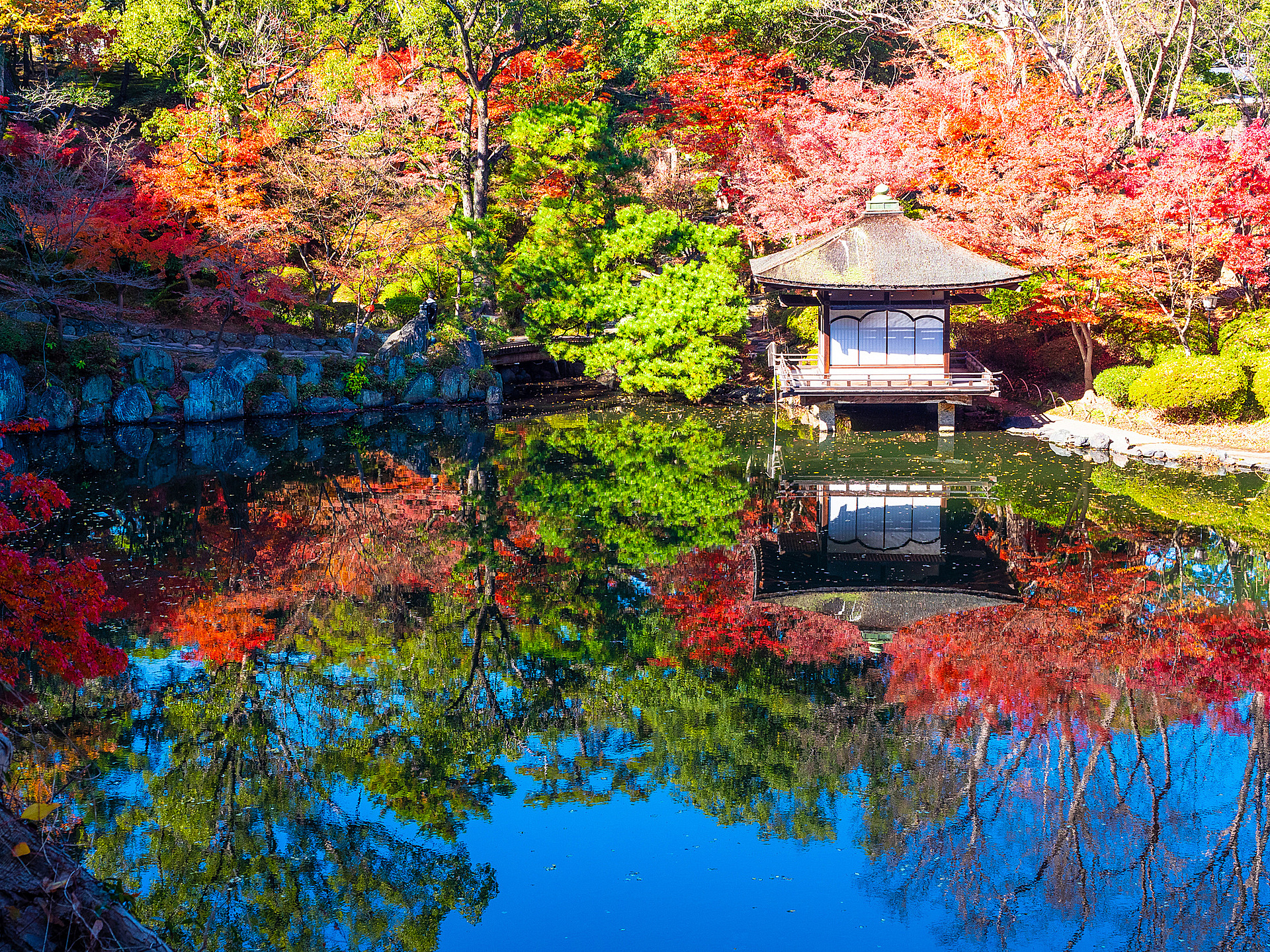 和歌山_和歌山城 西之丸庭園（紅葉渓庭園）_遊び・体験_1