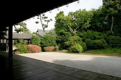 大阪_南宗寺_遊び・体験_1