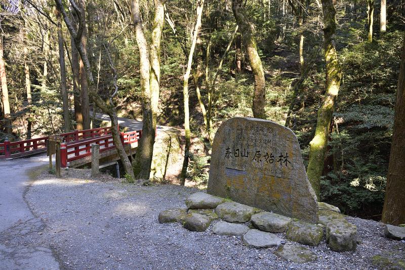 奈良_春日山原始林_遊び・体験_1