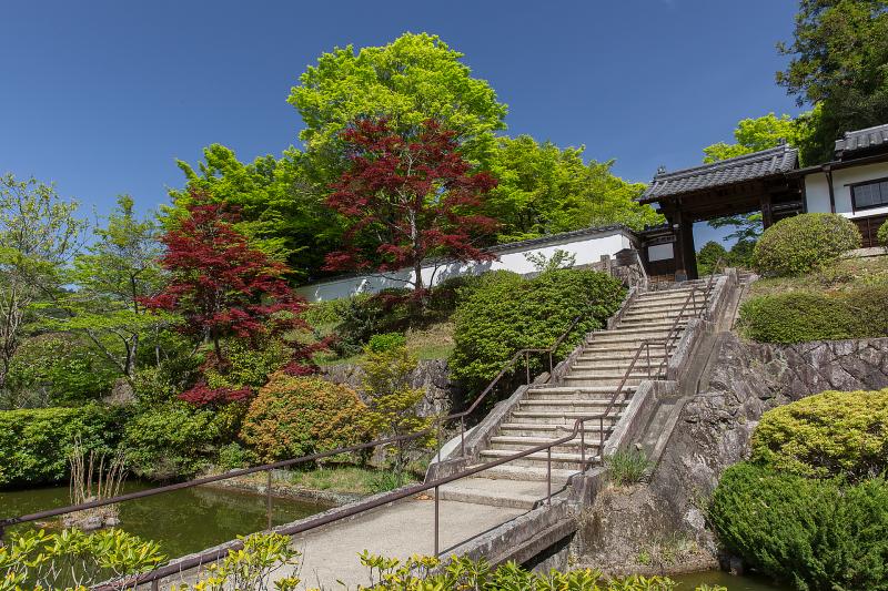 奈良_芳徳寺_遊び・体験_1