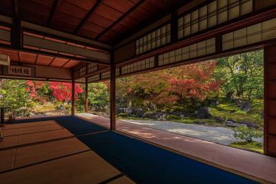 京都_圓徳院_遊び・体験_1