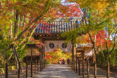 京都_光明寺_遊び・体験_1