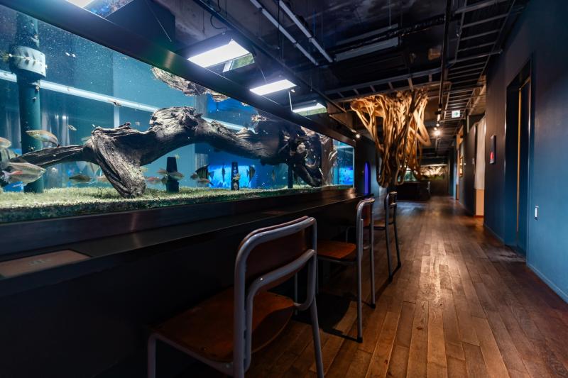 兵庫_みなとやま水族館_遊び・体験_1