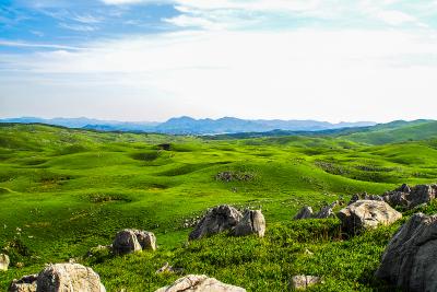 山口_秋吉台/秋吉台国定公園_遊び・体験_1