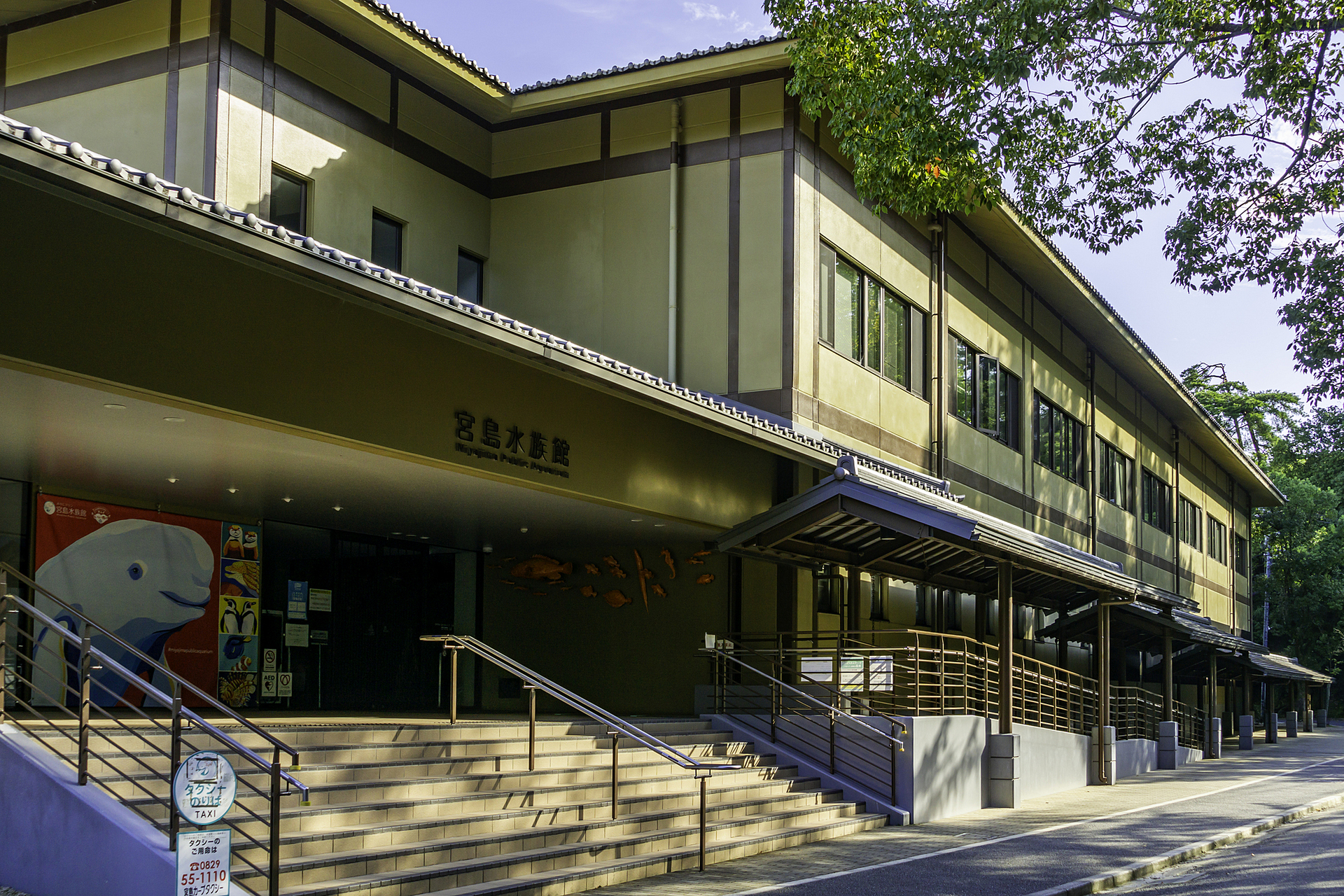 広島県_宮島水族館(みやじマリン)_遊び・体験_1