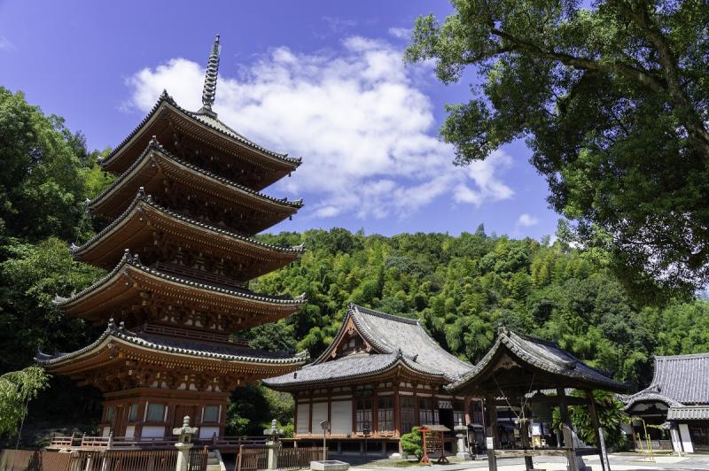 広島_明王院_遊び・体験_1