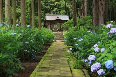 島根_月照寺_遊び・体験_1