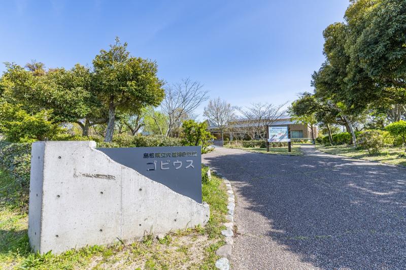 島根_宍道湖自然館ゴビウス_遊び・体験_1