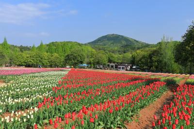 広島県_せら高原_遊び・体験_1