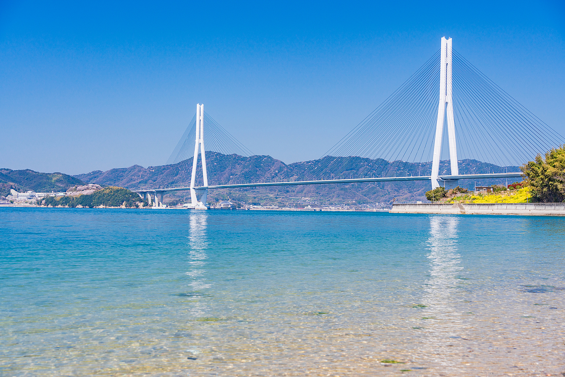 広島_多々羅大橋_遊び・体験_1