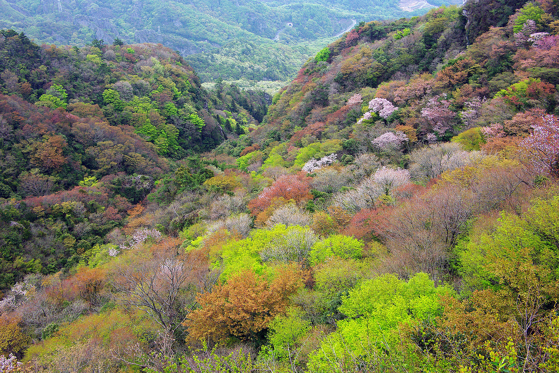 香川_寒霞渓_遊び・体験_1
