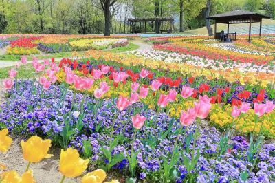 香川_国営讃岐まんのう公園_遊び・体験_1